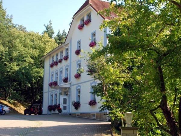 Waldhotel & Restaurant Bergschlosschen Hetzdorf Eksteriør billede